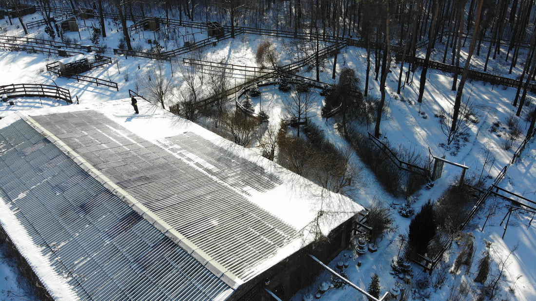What Is the Ideal Temperature to Apply Elastomeric Roof Coatings?