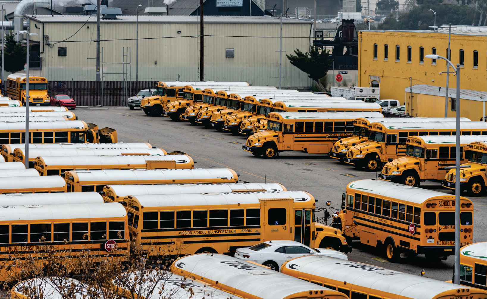 Multiple buses with white-coated RV roofs parked outdoors in rows