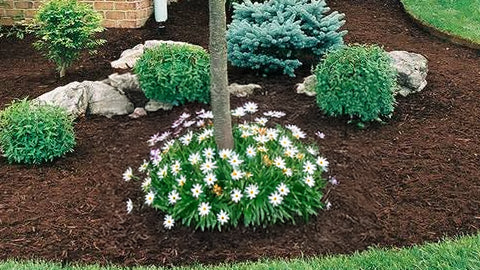 Mulch Glue Clear Sealer