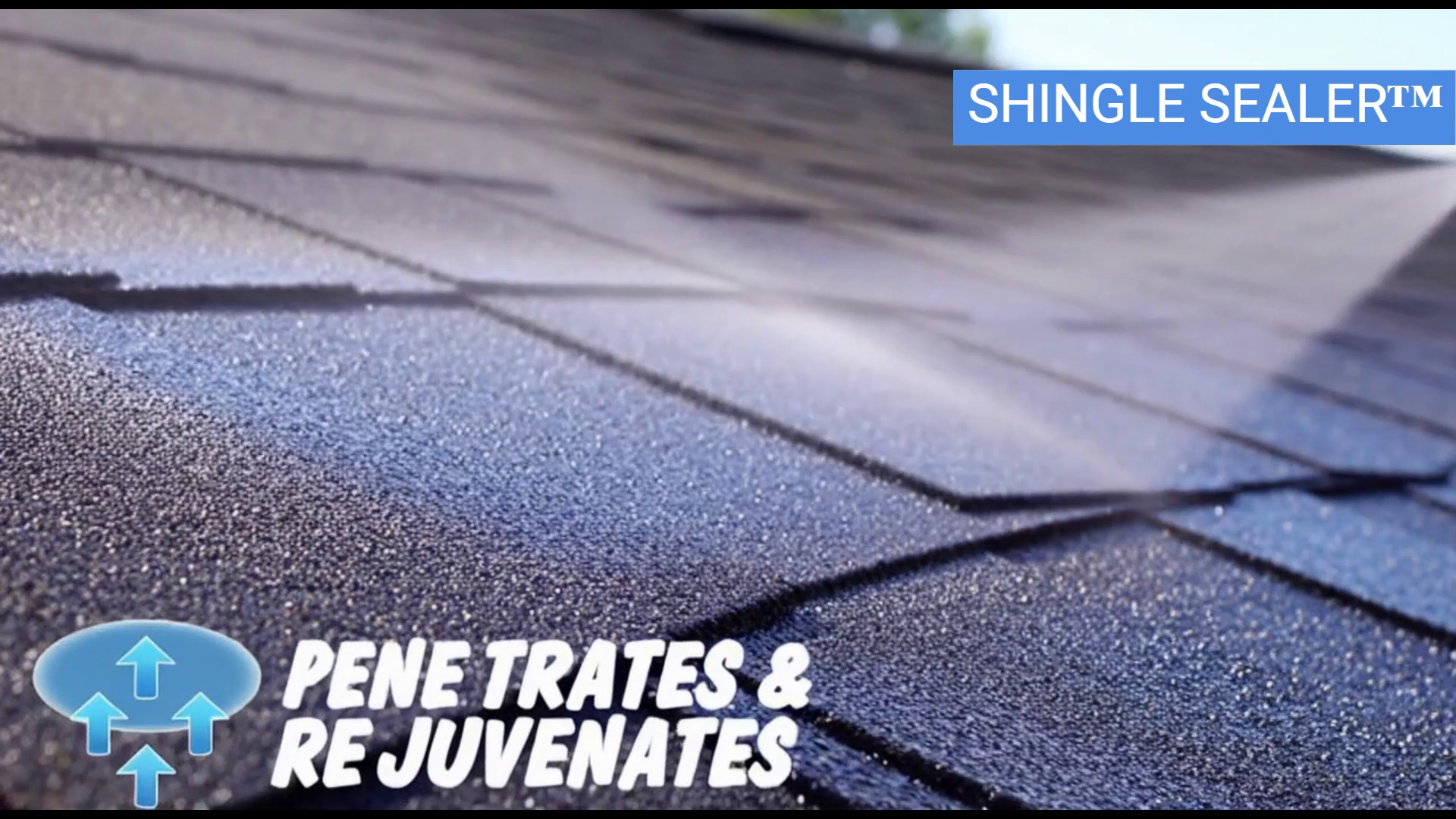 SHINGLE SEALER™ 7 Year Clear Sealer