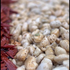 Mulch Glue™ clear coating over light gravel and red wood mulch strands in a close-up.